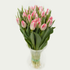 Букет із 25 біло-рожевих тюльпанів