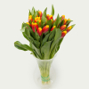 Букет з 25 тюльпанів "Червоногарячий"