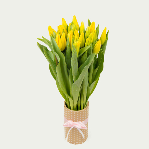 Букет із 25 жовтих тюльпанів "Сонячний"