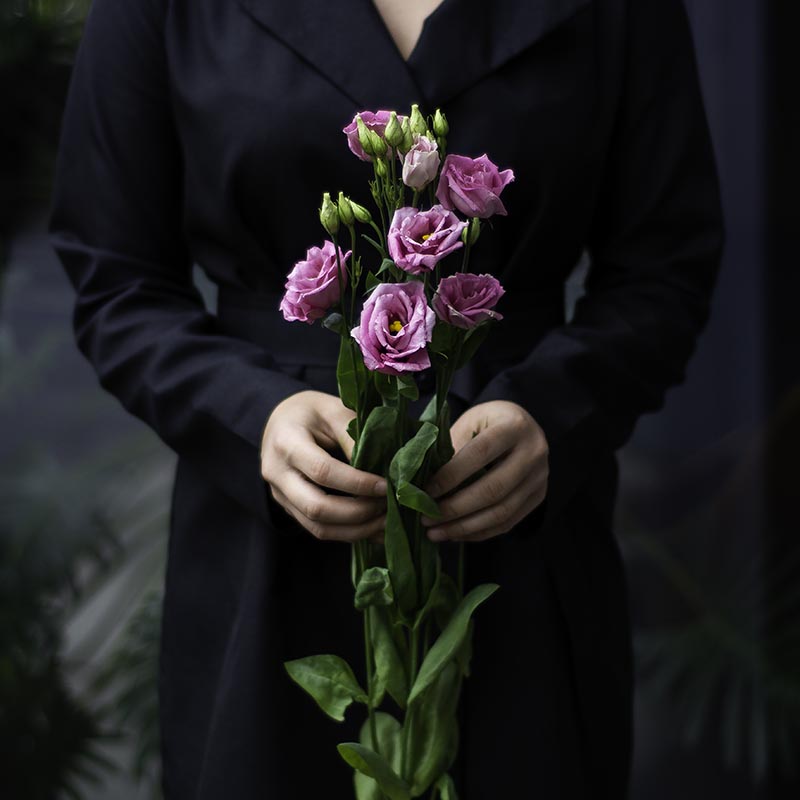 Eustoma (burgundy color)