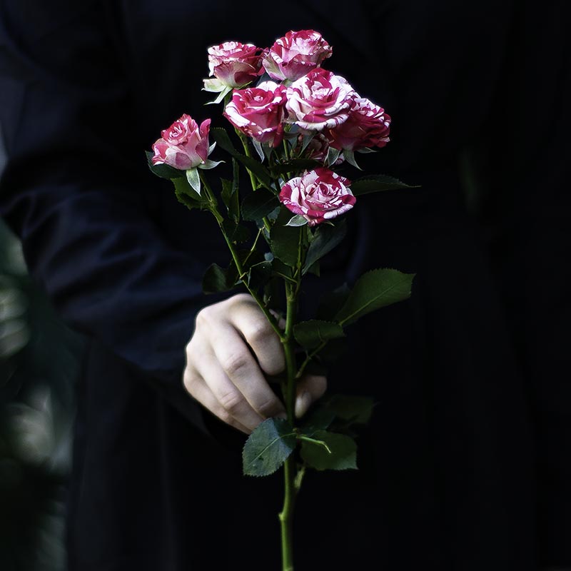 Branched Rose Fireworks