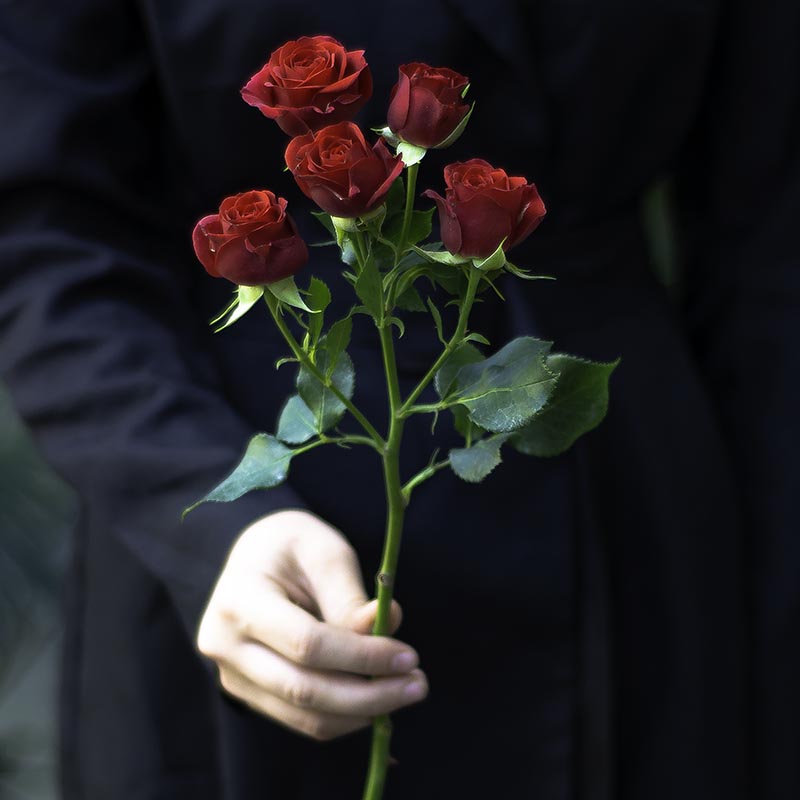 Branched Rose Mirabel