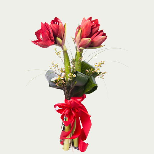 Букет "Амарилісові поля"