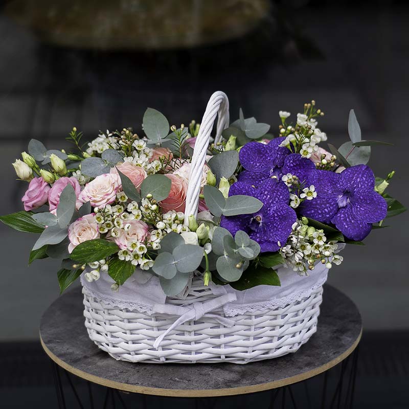 Composition "Magical Journey"