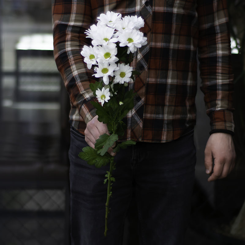 Chrysanthemum Bacardi (white)