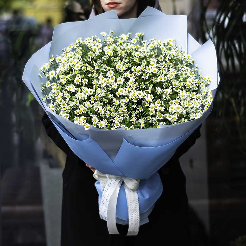 Bouquet "Chamomile field"