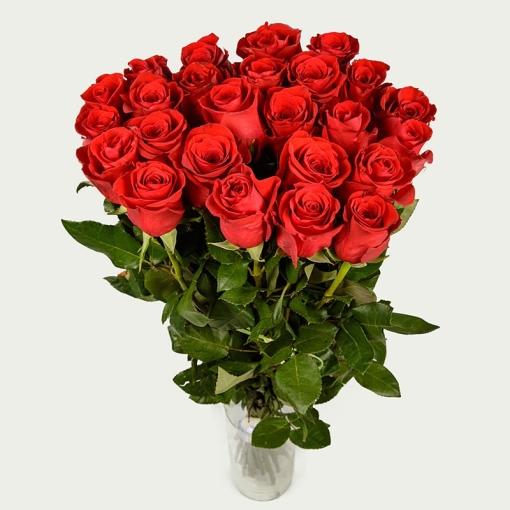 Bouquet “Bunch of 25 roses Freedom "Bordeaux”