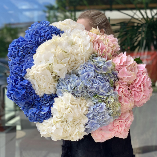 Доставка квітів Львів, Букет із 25-ти гортензій "Небесна лагуна"