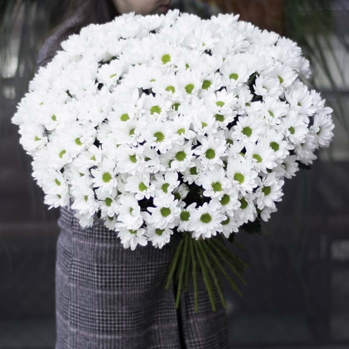 Доставка квітів Львів, Букет із 25-ти хризантем "Весняний цвіт"