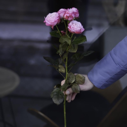 Доставка квітів Львів, Галузка "Леді Бомбастік"(рожева)