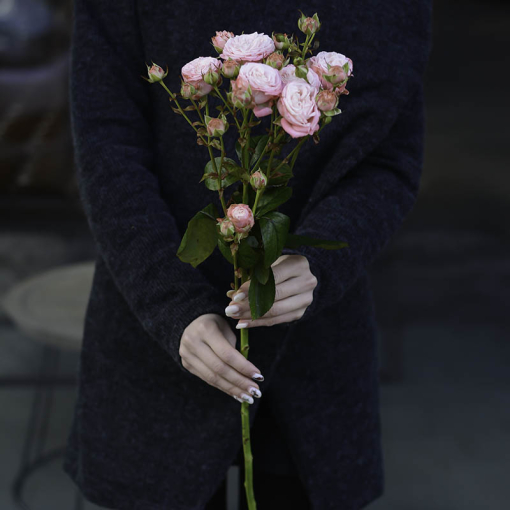 Доставка квітів Львів, Галузка "Мадам Бомбастік"(кремова)