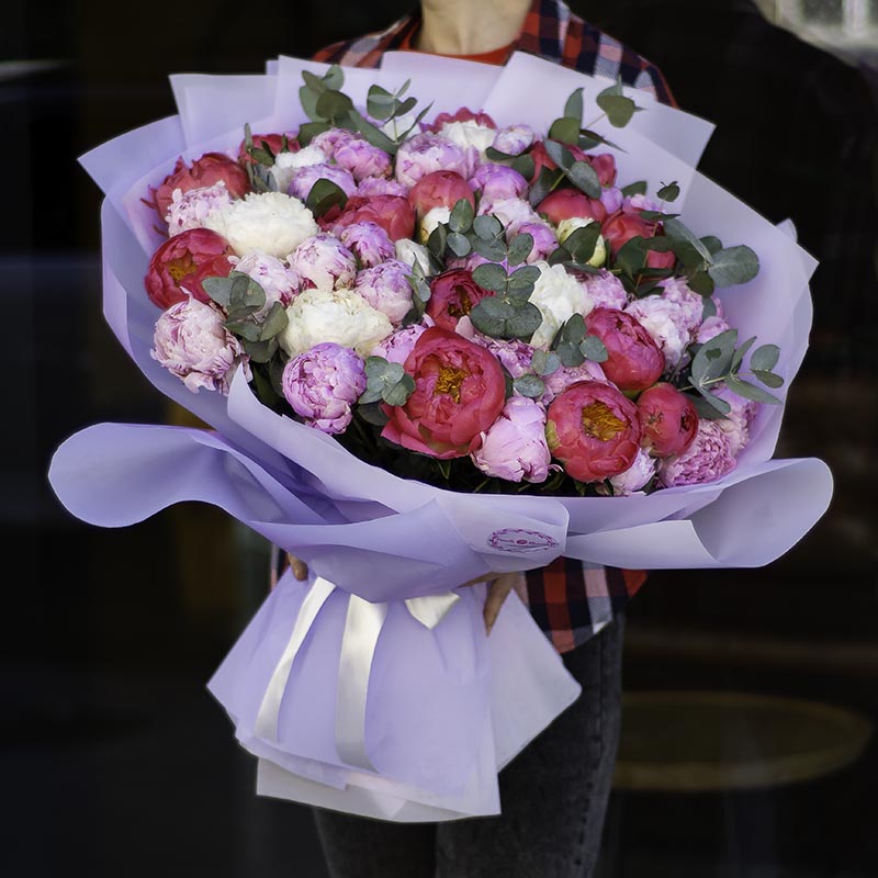 Букет із 61-го голландських півоній: "Квіткова мрія"