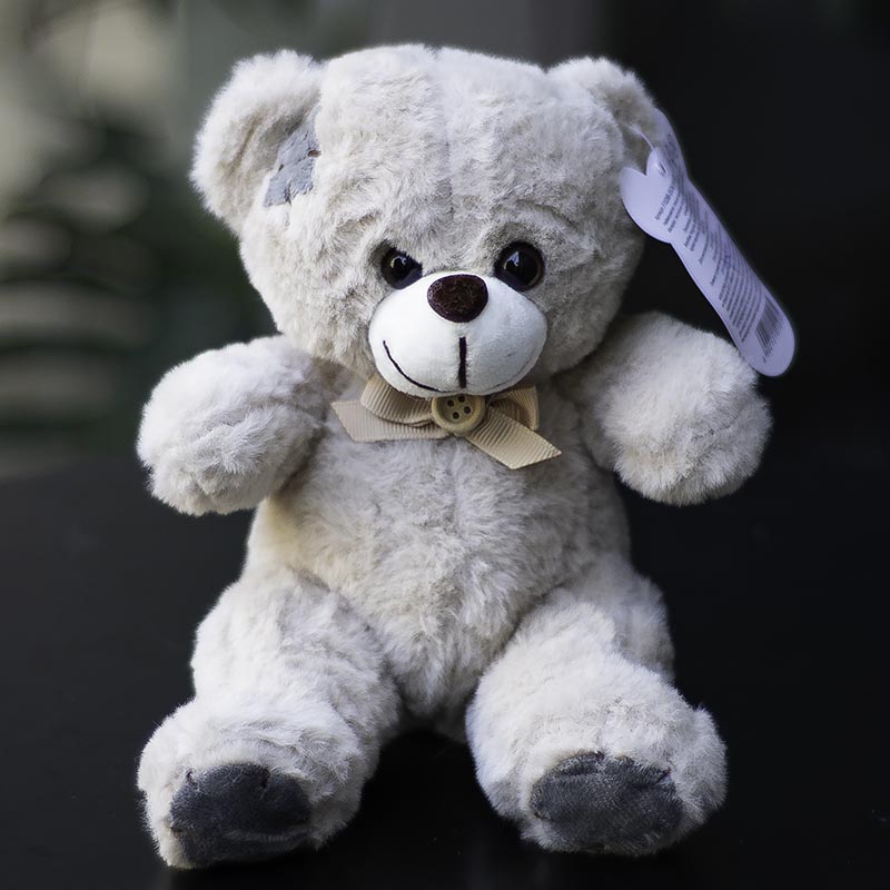 Ведмедик Тедді міні